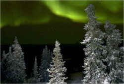 Northern lights from Chena Hot Springs - United States, Alaska, Fairbanks, northern lights, aurora, winter, travel, holiday, Nicola Gordon, ZoomTravels