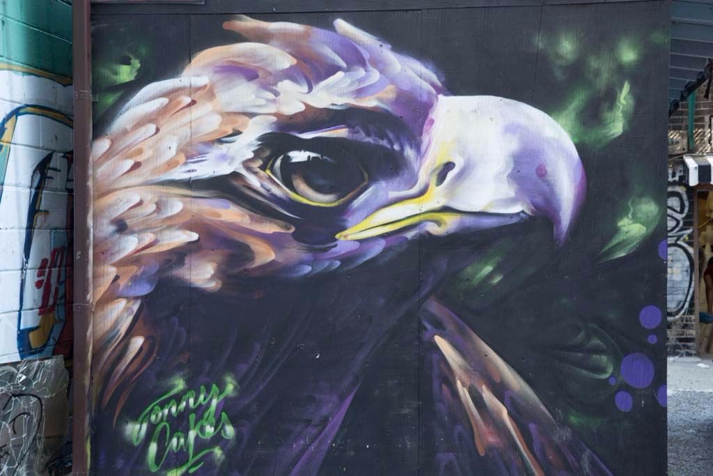 Eagle Graffiti, Graffiti Alley, Toronto