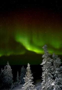 ZoomTravels-travel-Alaska-Chena-Hot-Springs-Northern-Lights