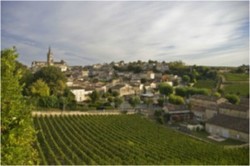 ZoomTravels-travel-france-bordeaux-vineyards